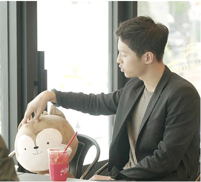 Descendants Of The Sun Kdrama Rabbit And Fox Plush Toy Song Joong Ki Song Hye Kyo