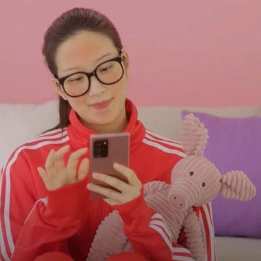 moon ga young plush toy pig