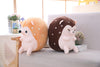 Kdrama Touch Your Heart Hedgehog Plush Toy