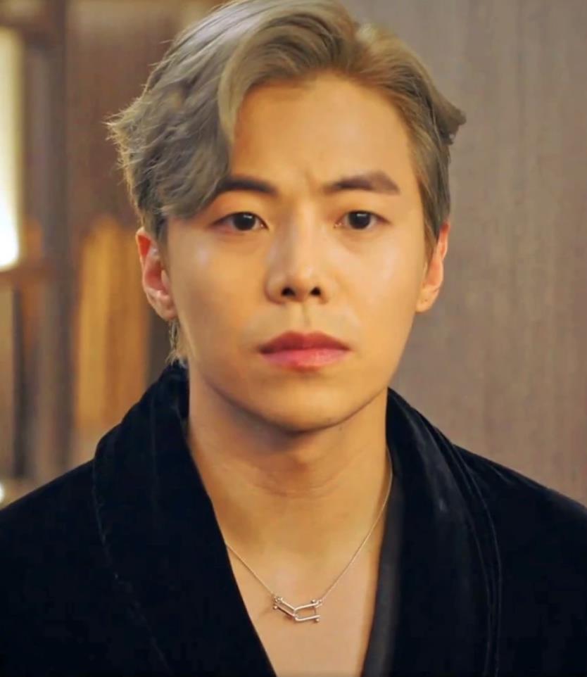 Kdrama Penthouse Shim Su-ryeon (Lee Ji-ah) /  Logan (Park Eun-Seok) Inspired Double Link Pendant Titanium Necklace